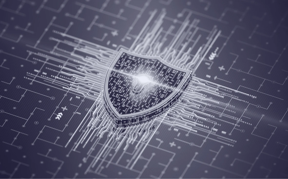 identity intelligence solutions